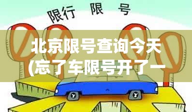 北京限号查询今天(忘了车限号开了一天罚多少钱)