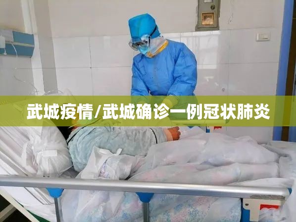 武城疫情/武城确诊一例冠状肺炎