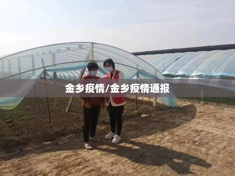金乡疫情/金乡疫情通报