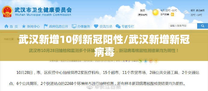 武汉新增10例新冠阳性/武汉新增新冠病毒