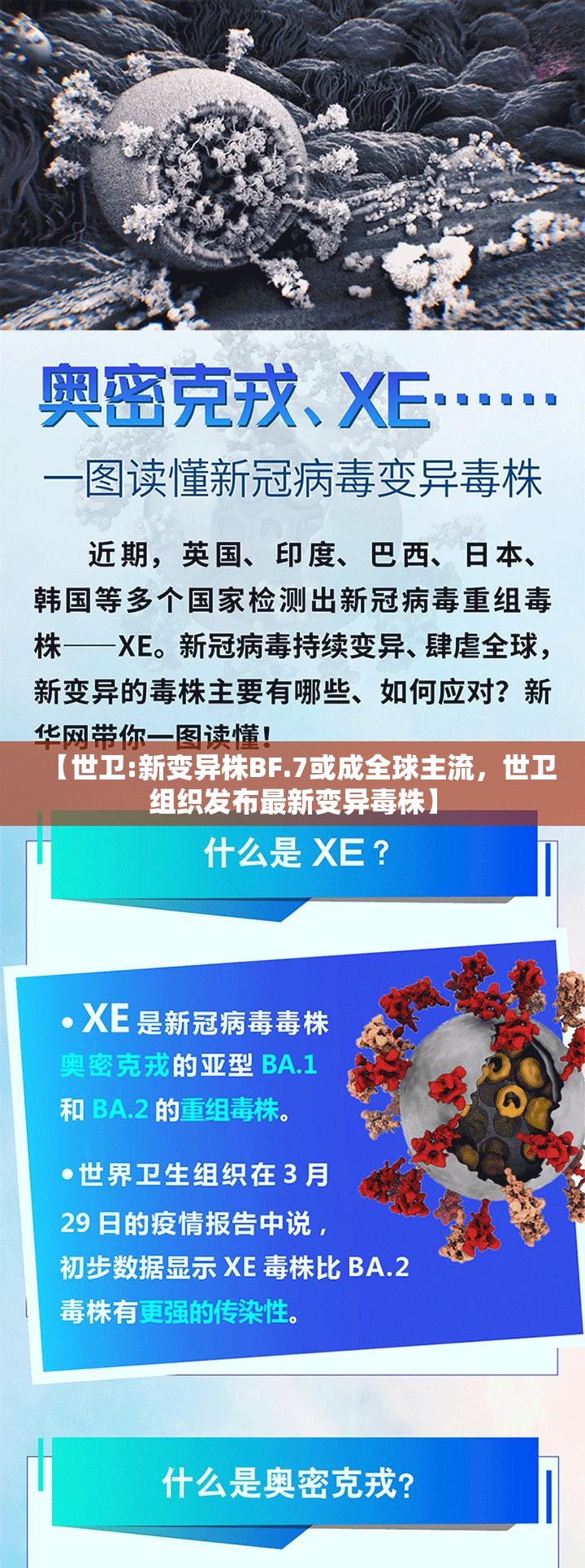 【世卫:新变异株BF.7或成全球主流，世卫组织发布最新变异毒株】