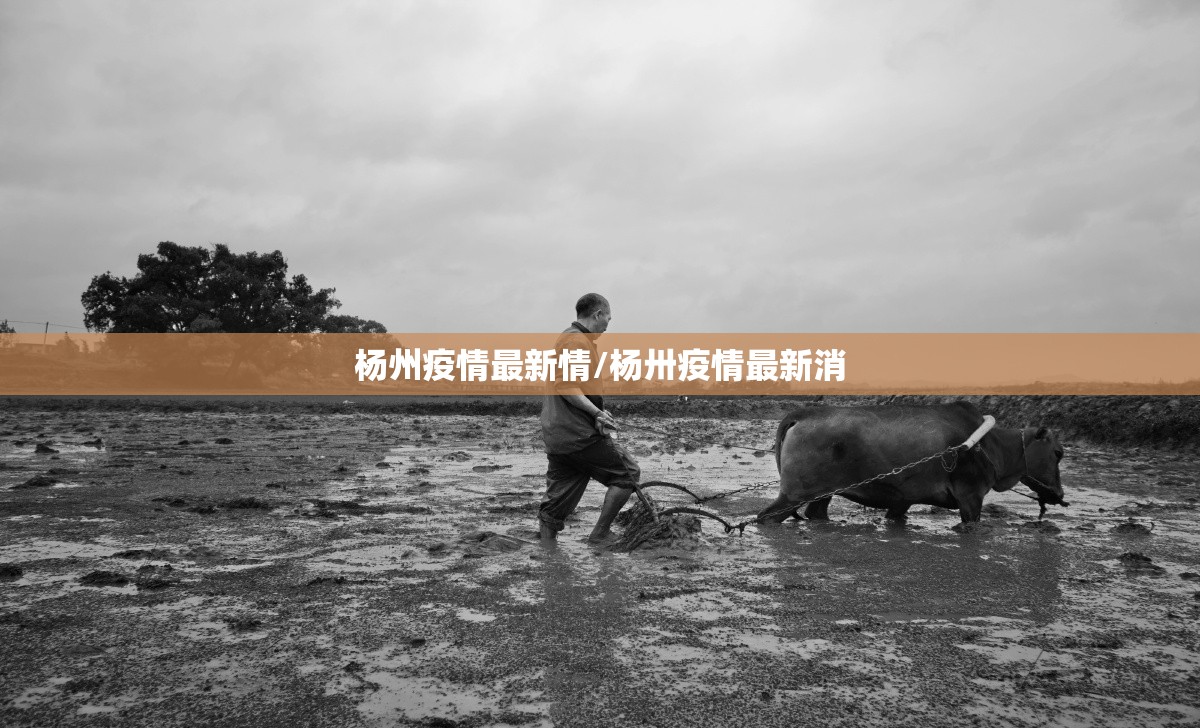 杨州疫情最新情/杨卅疫情最新消