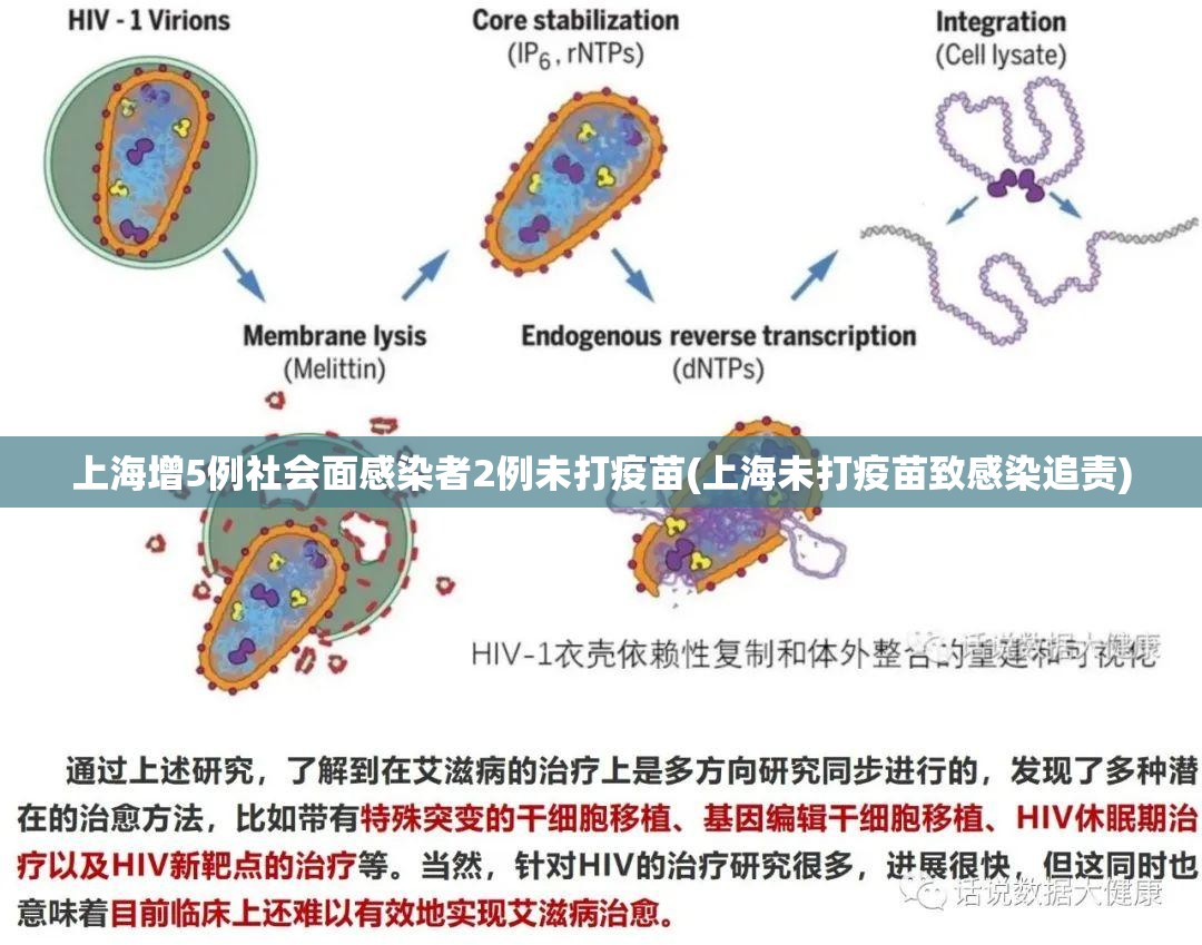 上海增5例社会面感染者2例未打疫苗(上海未打疫苗致感染追责)