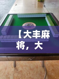 【大丰麻将，大丰麻将机108张是几档】