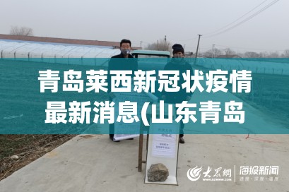 青岛莱西新冠状疫情最新消息(山东青岛莱西肺炎疫情) 青岛莱西新冠状疫情最新消息(山东青岛莱西肺炎疫情)