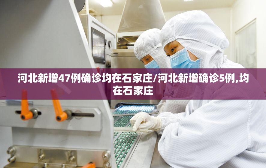 河北新增47例确诊均在石家庄/河北新增确诊5例,均在石家庄