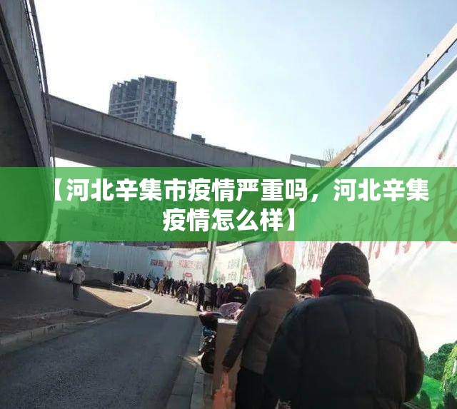 【河北辛集市疫情严重吗，河北辛集疫情怎么样】