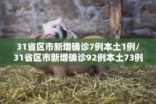 31省区市新增确诊7例本土1例/31省区市新增确诊92例本土73例