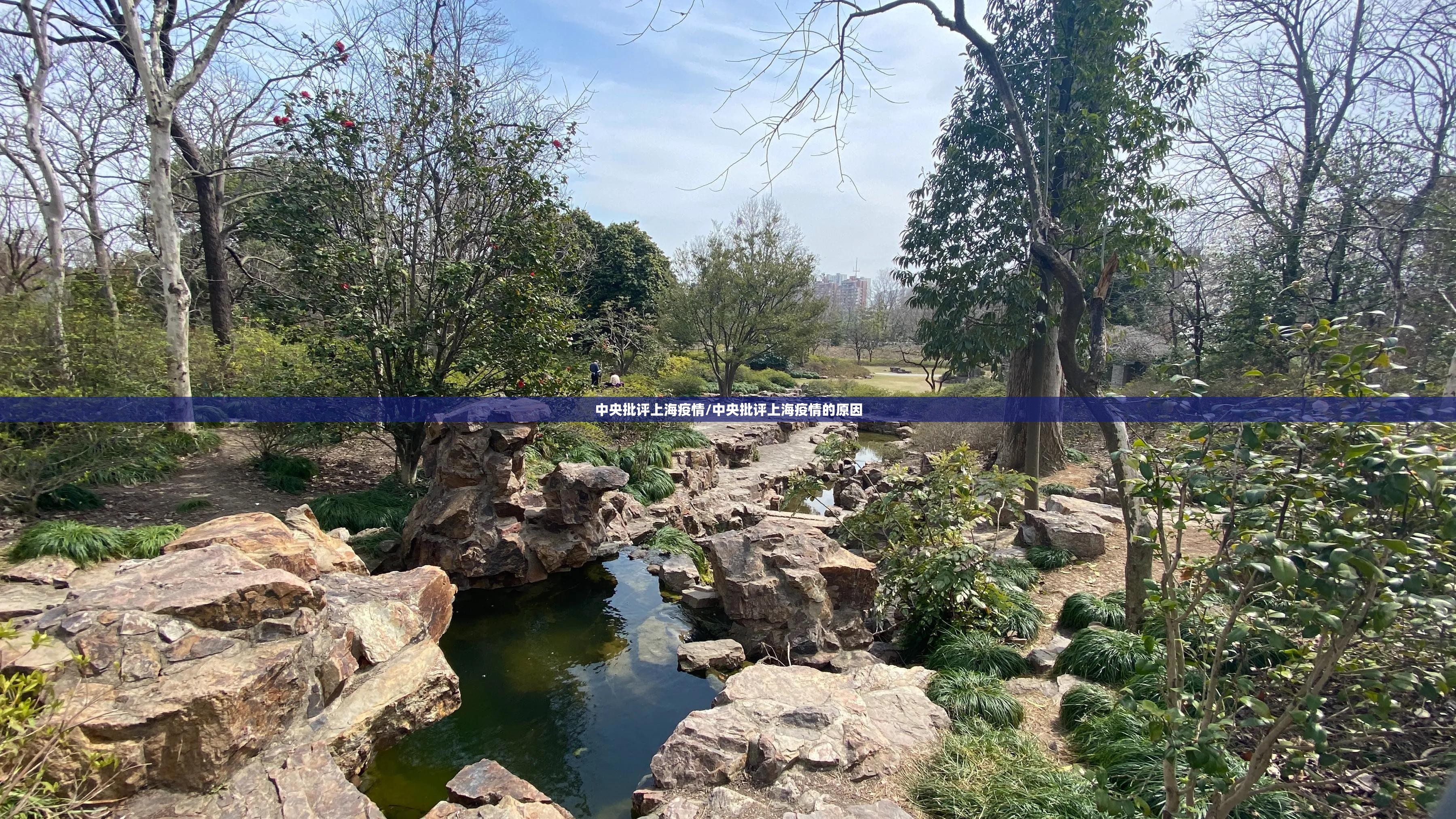 中央批评上海疫情/中央批评上海疫情的原因