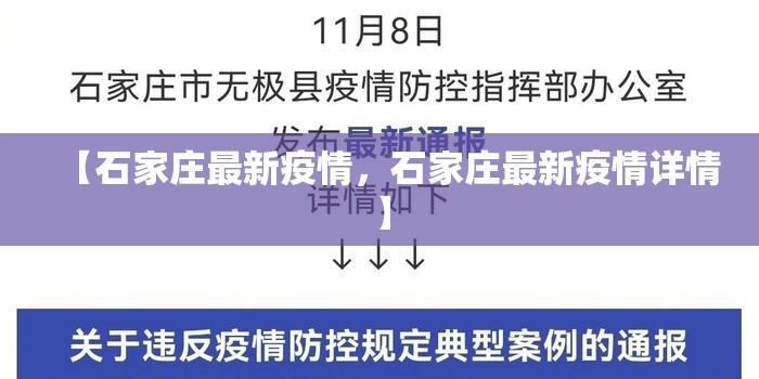 【石家庄最新疫情，石家庄最新疫情详情】
