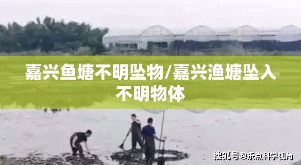 嘉兴鱼塘不明坠物/嘉兴渔塘坠入不明物体