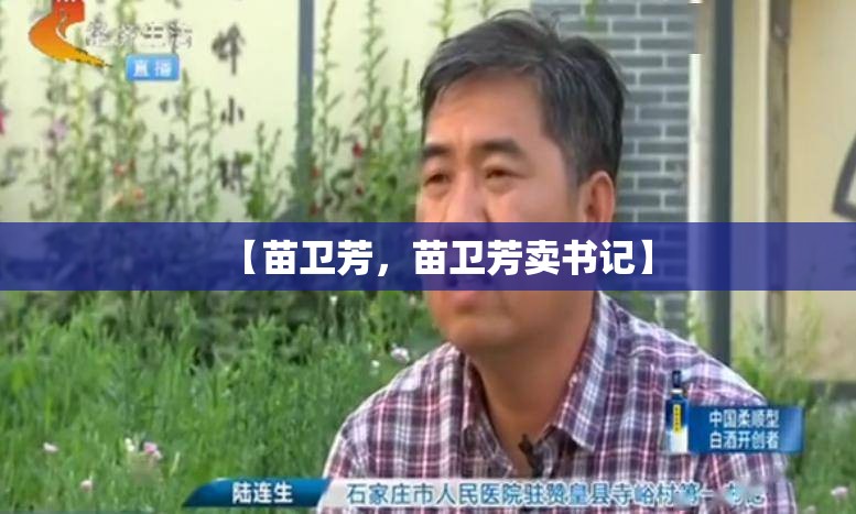 【苗卫芳，苗卫芳卖书记】