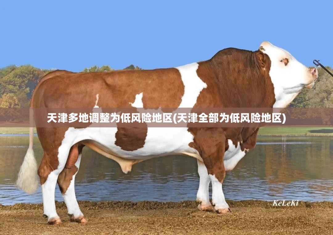 天津多地调整为低风险地区(天津全部为低风险地区)