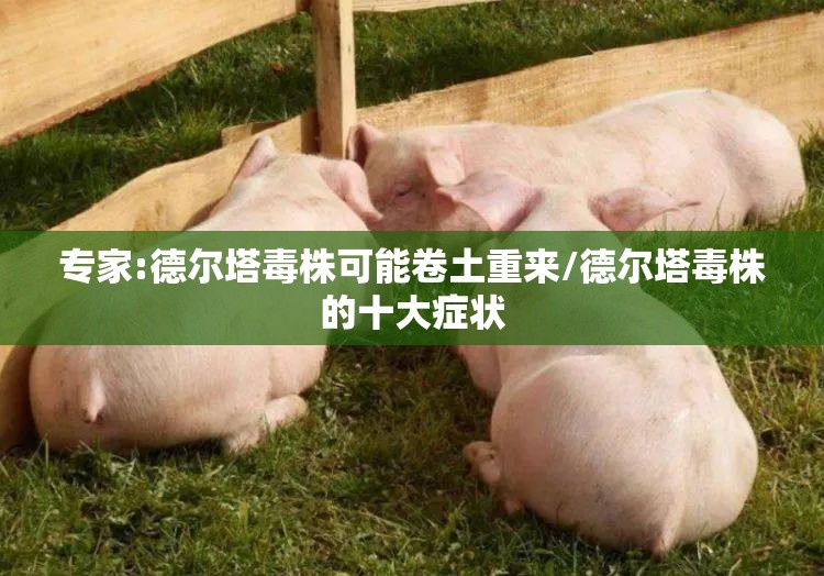 专家:德尔塔毒株可能卷土重来/德尔塔毒株的十大症状