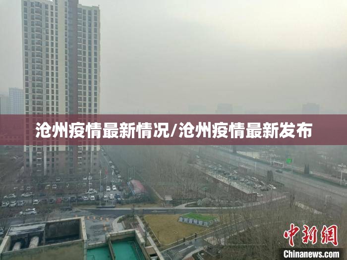 沧州疫情最新情况/沧州疫情最新发布