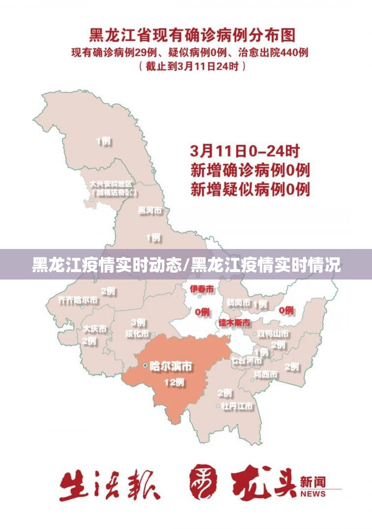 黑龙江疫情实时动态/黑龙江疫情实时情况