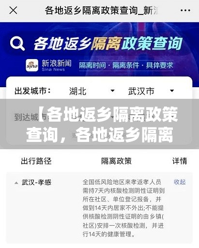 【各地返乡隔离政策查询，各地返乡隔离政策咨询】