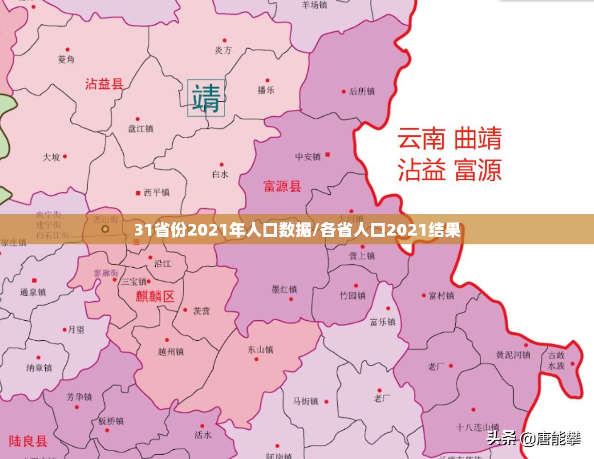 31省份2021年人口数据/各省人口2021结果
