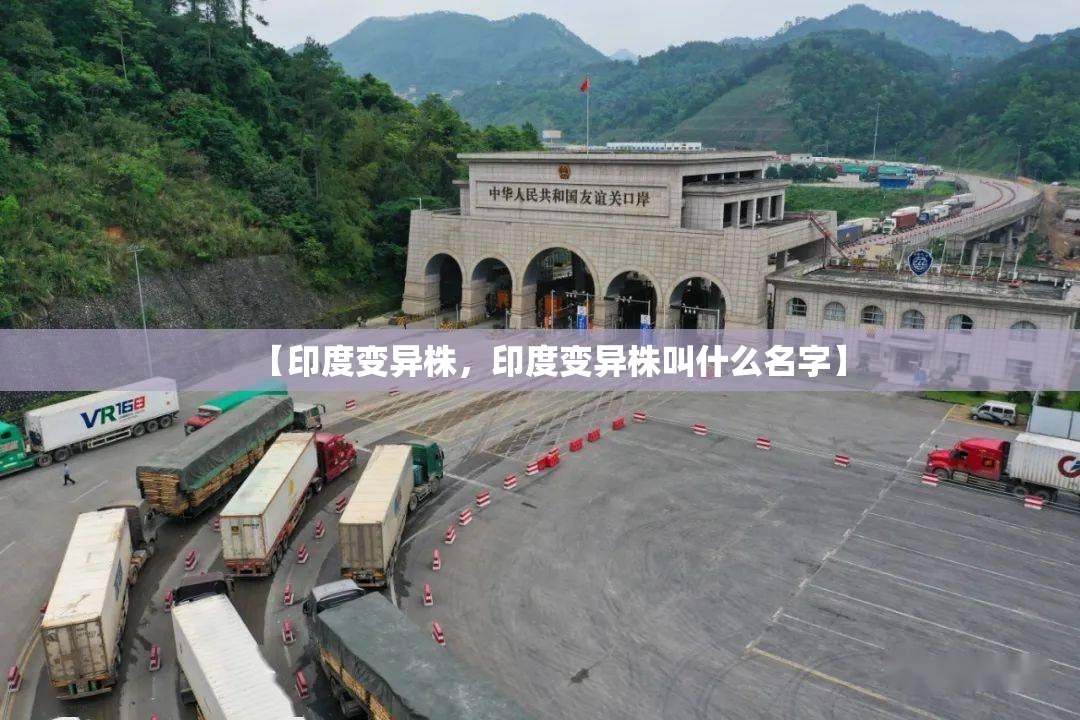 【印度变异株,印度变异株叫什么名字】 【印度变异株,印度变异株叫什么名字】