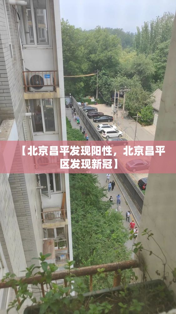 【北京昌平发现阳性，北京昌平区发现新冠】