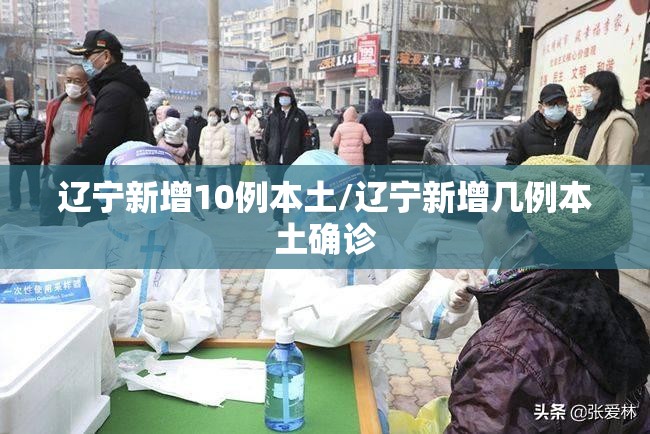 辽宁新增10例本土/辽宁新增几例本土确诊