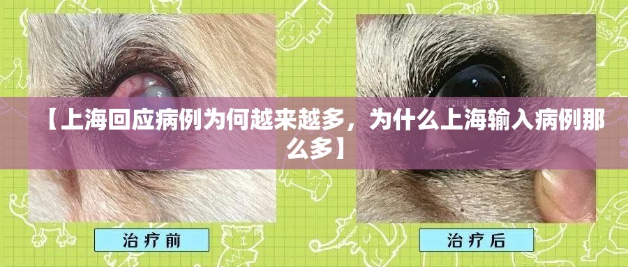 【上海回应病例为何越来越多,为什么上海输入病例那么多】 【上海回应病例为何越来越多,为什么上海输入病例那么多】