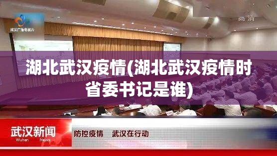 湖北武汉疫情(湖北武汉疫情时省委书记是谁)