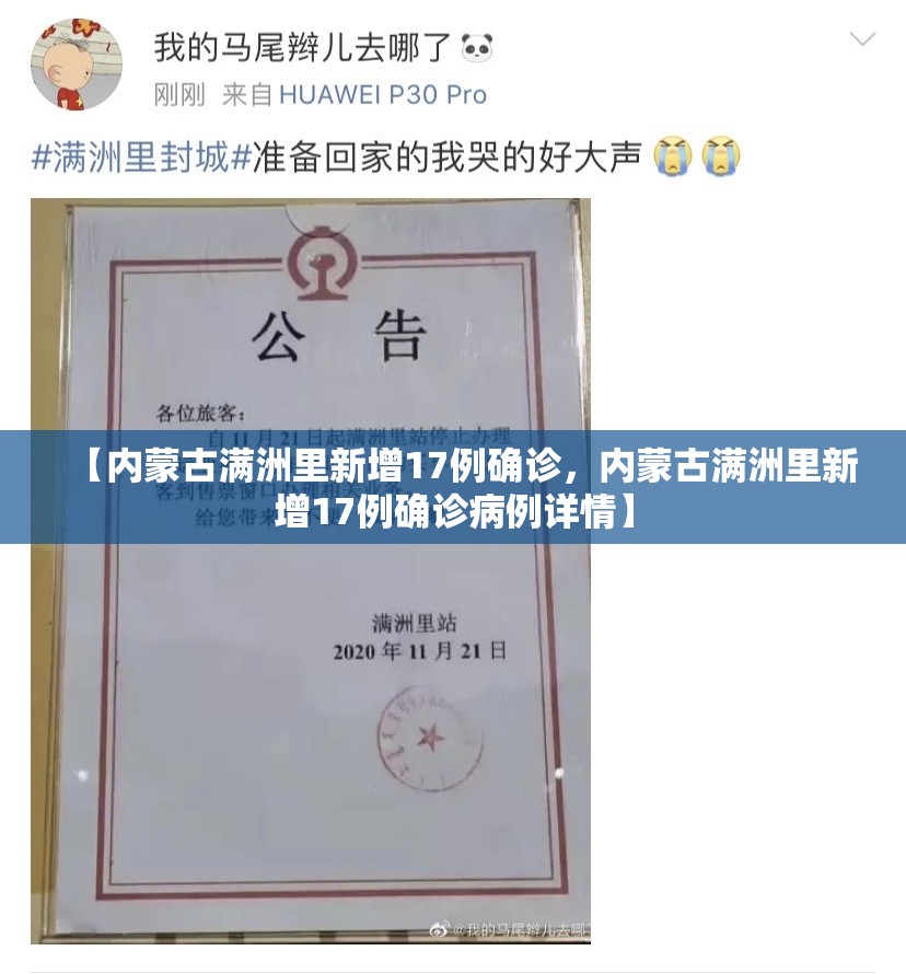 【内蒙古满洲里新增17例确诊，内蒙古满洲里新增17例确诊病例详情】