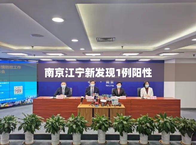 南京江宁新发现1例阳性