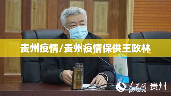 贵州疫情/贵州疫情保供王政林