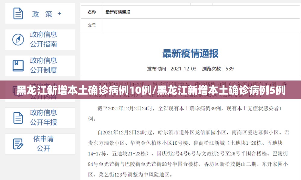 黑龙江新增本土确诊病例10例/黑龙江新增本土确诊病例5例 黑龙江新增本土确诊病例10例/黑龙江新增本土确诊病例5例