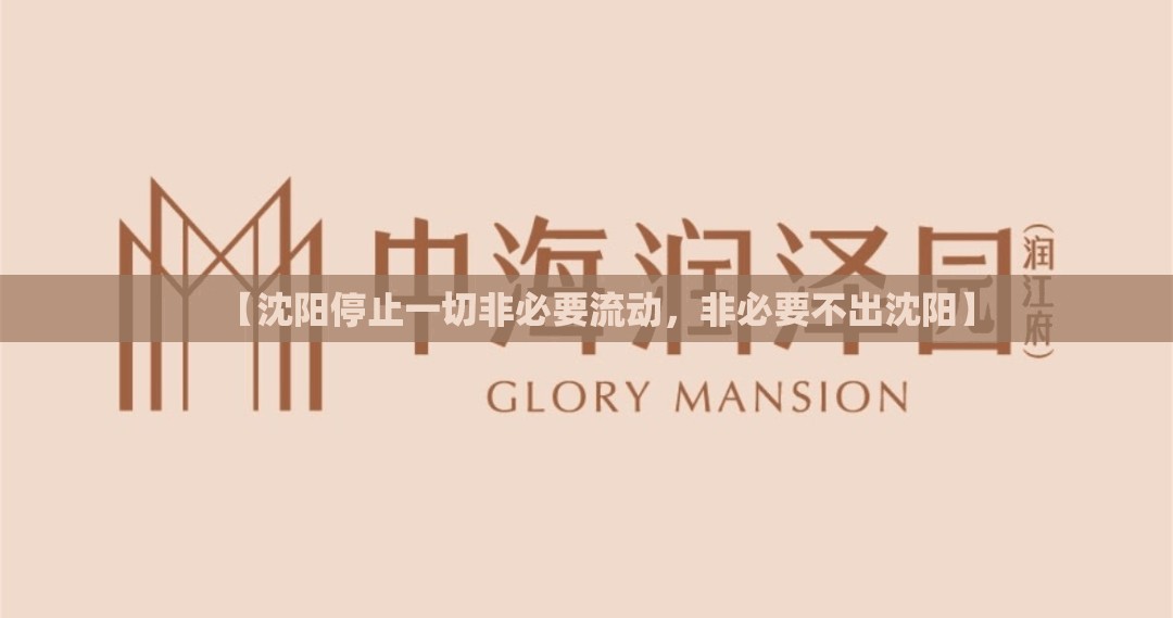 【沈阳停止一切非必要流动，非必要不出沈阳】