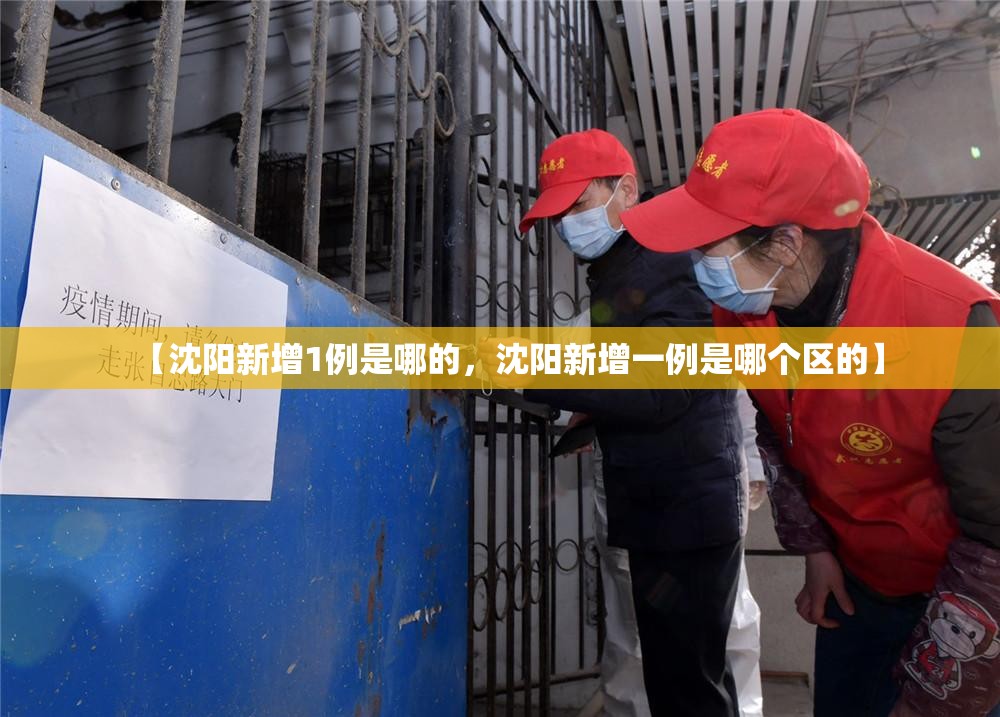 【沈阳新增1例是哪的，沈阳新增一例是哪个区的】