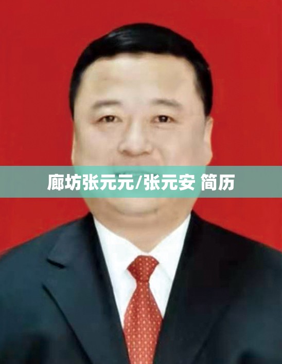 廊坊张元元/张元安 简历