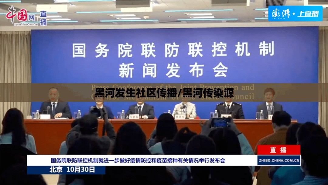 黑河发生社区传播/黑河传染源