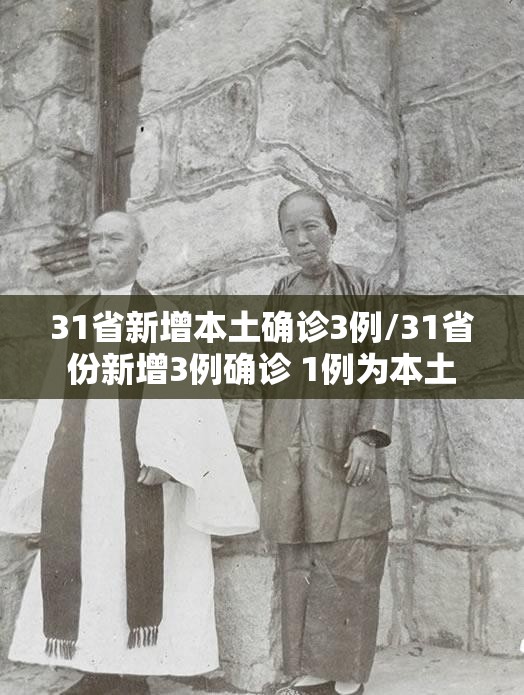 31省新增本土确诊3例/31省份新增3例确诊 1例为本土