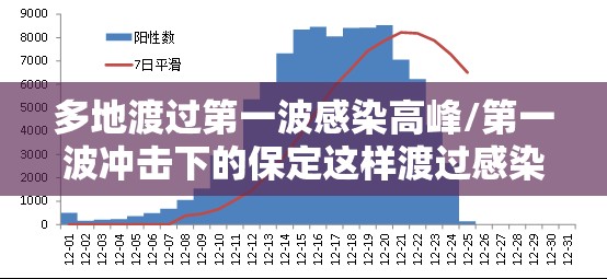 多地渡过第一波感染高峰/第一波冲击下的保定这样渡过感染高峰