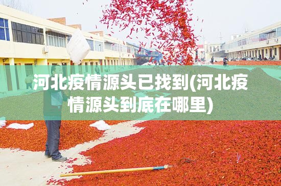 河北疫情源头已找到(河北疫情源头到底在哪里)