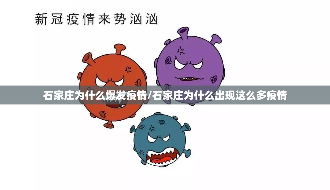 石家庄为什么爆发疫情/石家庄为什么出现这么多疫情