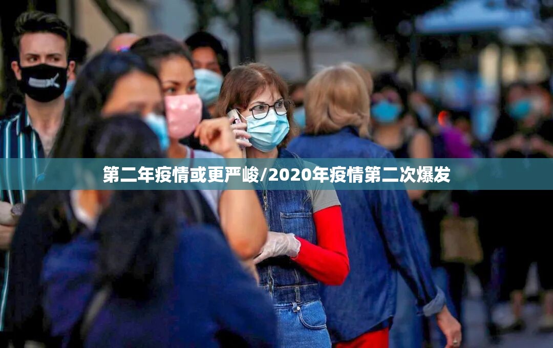 第二年疫情或更严峻/2020年疫情第二次爆发