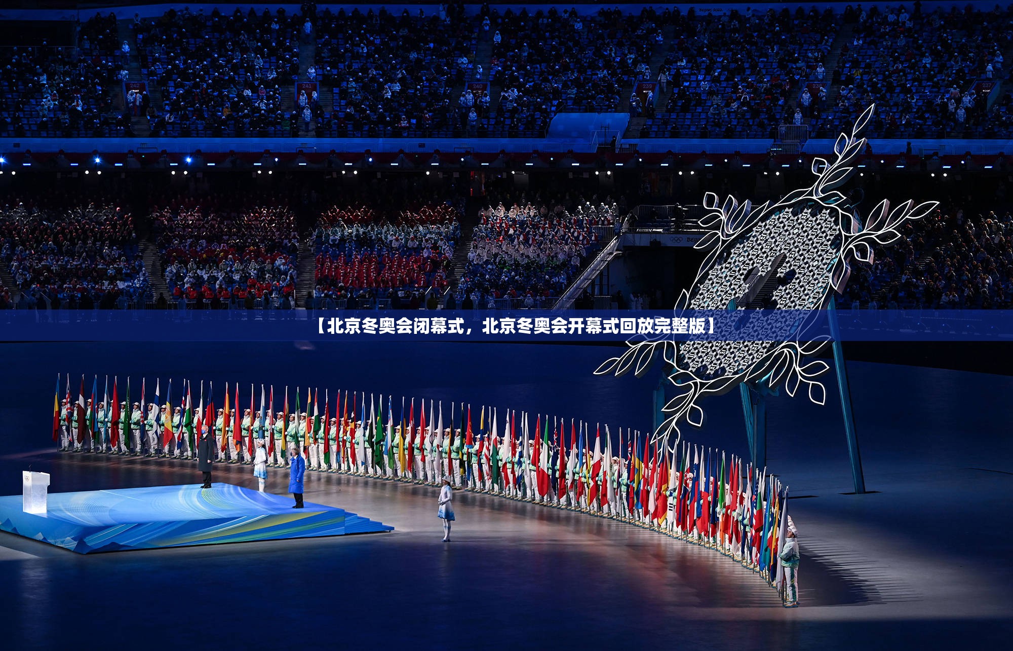 【北京冬奥会闭幕式，北京冬奥会开幕式回放完整版】