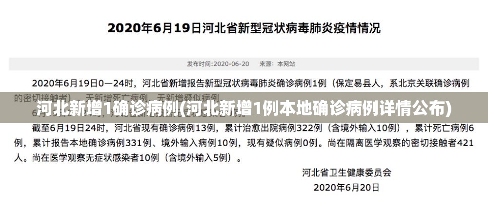 河北新增1确诊病例(河北新增1例本地确诊病例详情公布)
