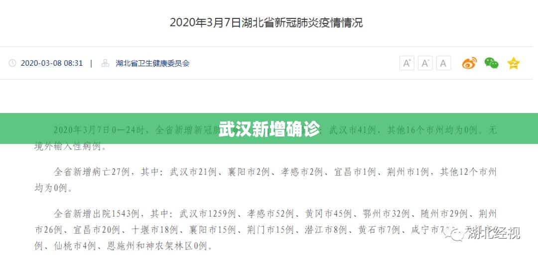 武汉新增确诊