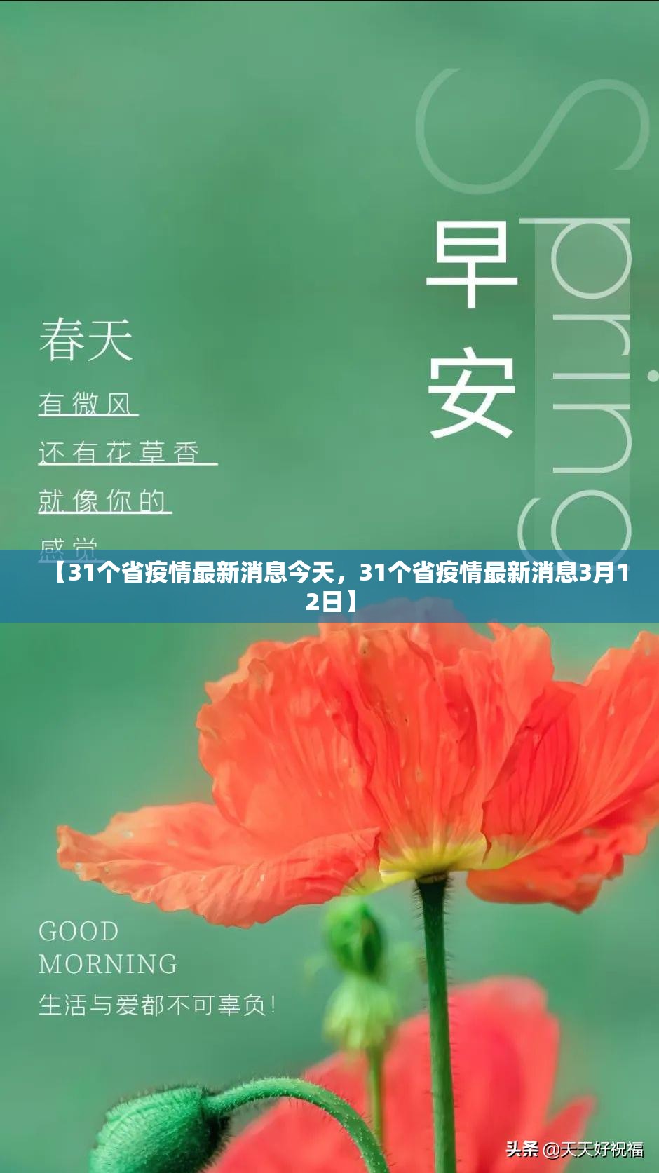 【31个省疫情最新消息今天，31个省疫情最新消息3月12日】