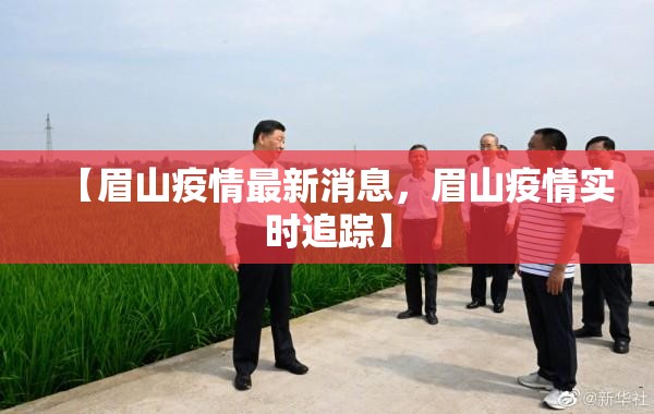 【眉山疫情最新消息，眉山疫情实时追踪】