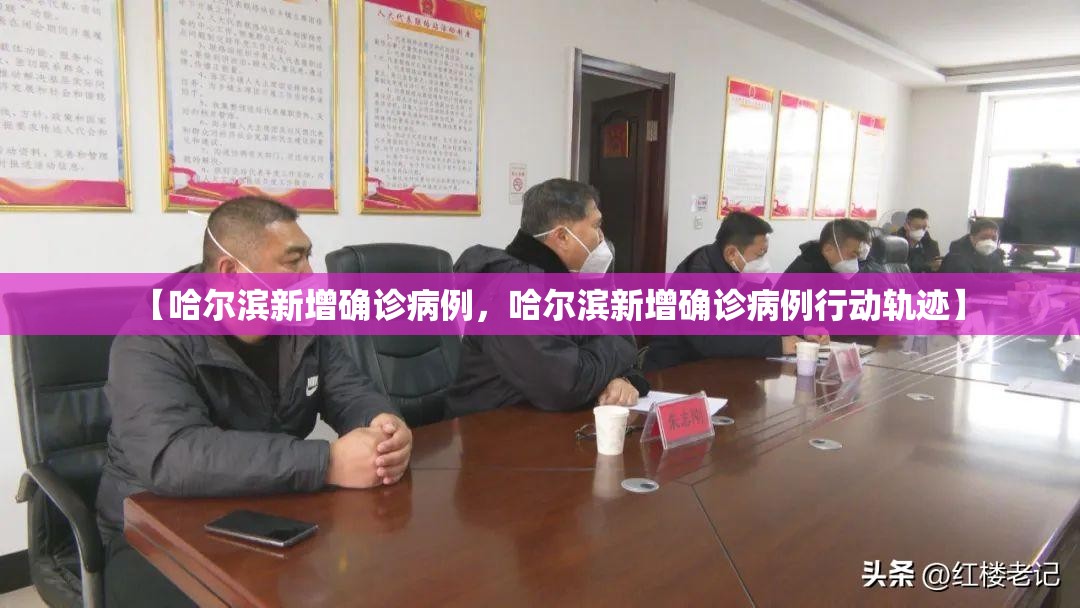 【哈尔滨新增确诊病例，哈尔滨新增确诊病例行动轨迹】