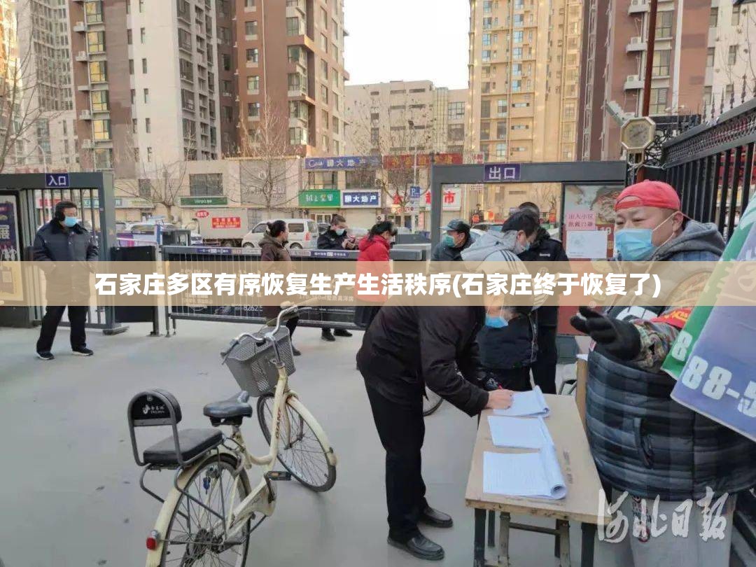 石家庄多区有序恢复生产生活秩序(石家庄终于恢复了)