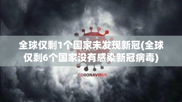 全球仅剩1个国家未发现新冠(全球仅剩6个国家没有感染新冠病毒)