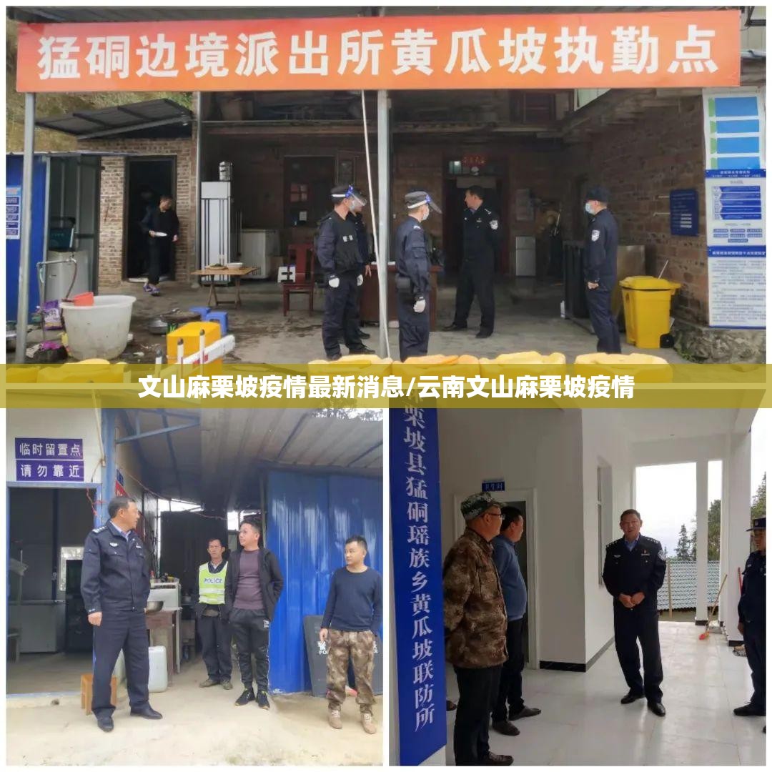文山麻栗坡疫情最新消息/云南文山麻栗坡疫情