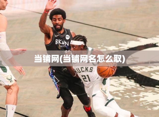 当铺网(当铺网名怎么取)